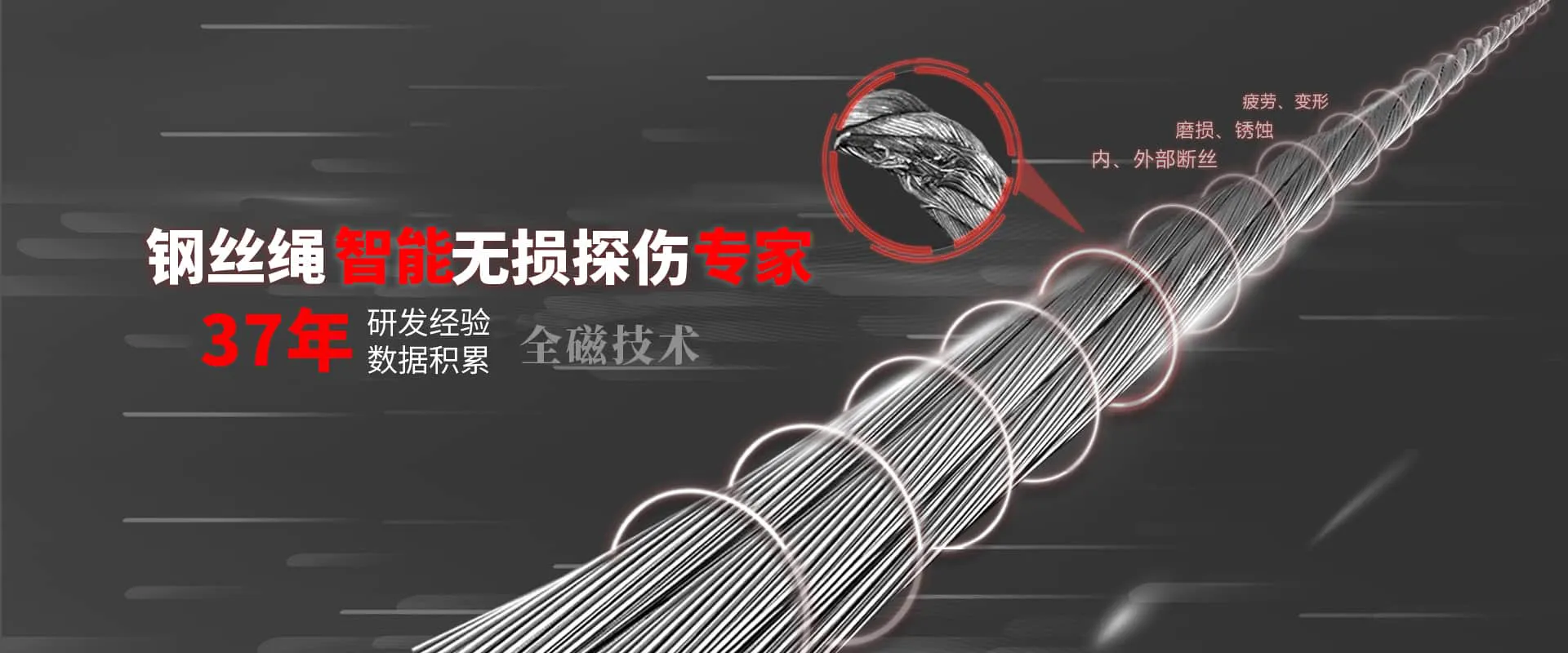 泰斯特